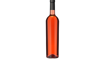 Shiluh Mesopotamia Rose